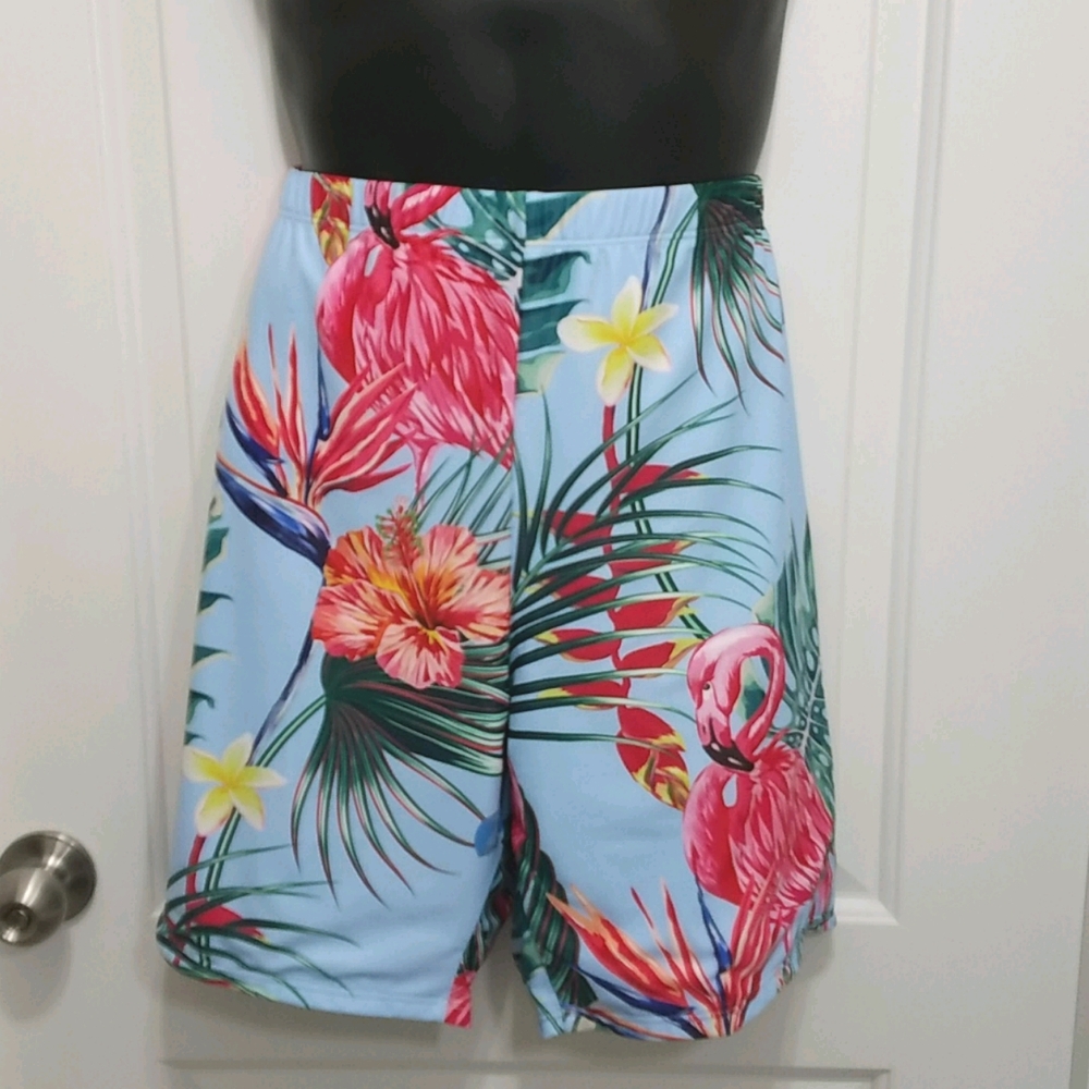 Men's Flamingo Swim Shorts. NWOT
